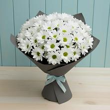 Букет цветов из:  Хризантемы #REPLACE_PRED# Березовском Свердловской области
