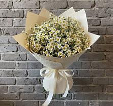 Букет цветов из:  Ромашки в Березовском Свердловской области
