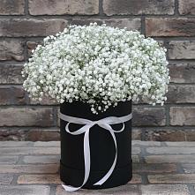 Цветочная композиция из Гипсофила в шляпной коробке в Березовском Свердловской области