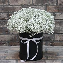 Цветочная композиция из Гипсофила в шляпной коробке в Березовском Свердловской области